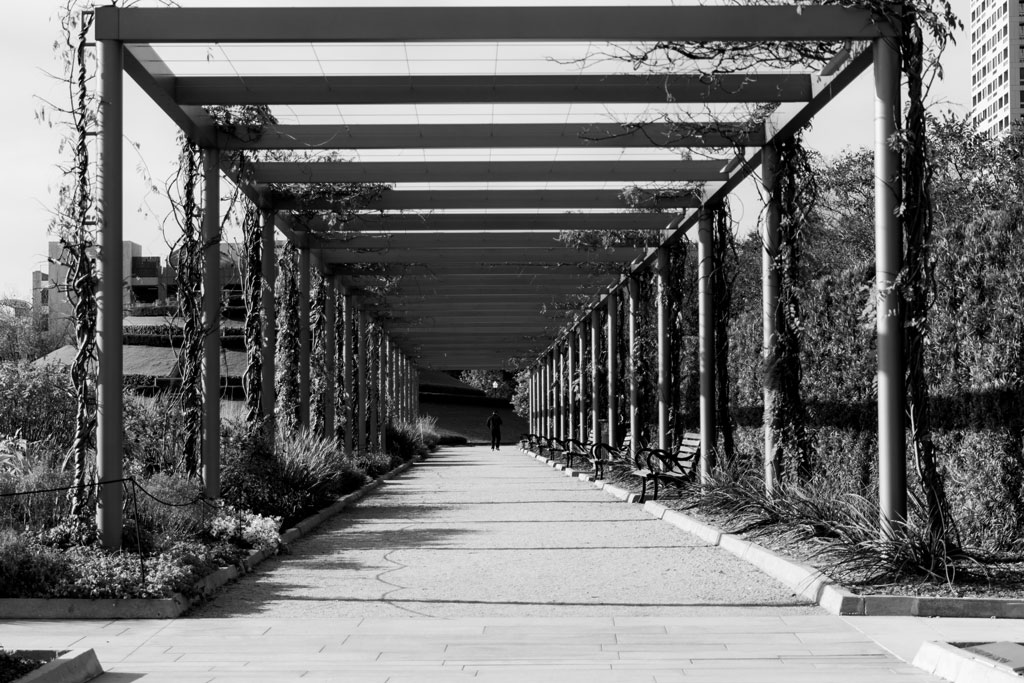 Walkway at McGovern Centennial Gardens, Houston, TX