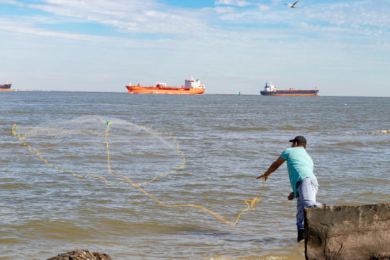Local man net fishing in Galveston, TX
