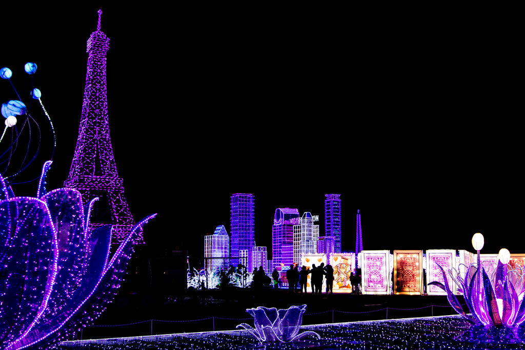 View across the grounds at Magic Winter Lights, La Marque, TX