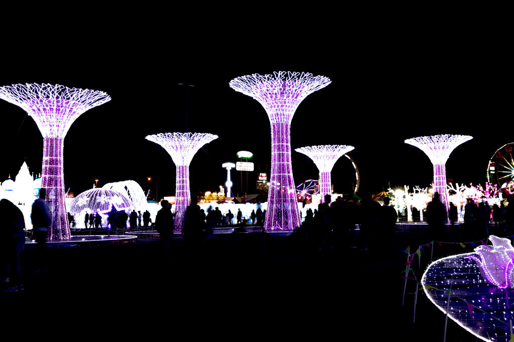 Light trees at Magic Winter Lights, La Marque, TX