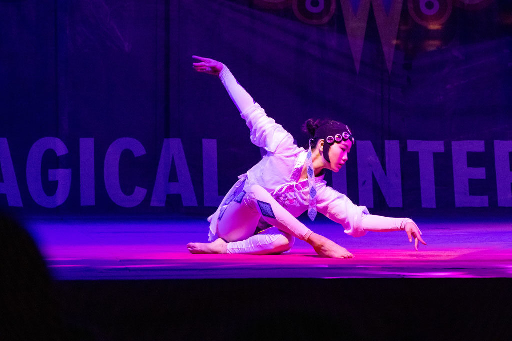 Aerialist at Magic Winter Lights, La Marque, TX
