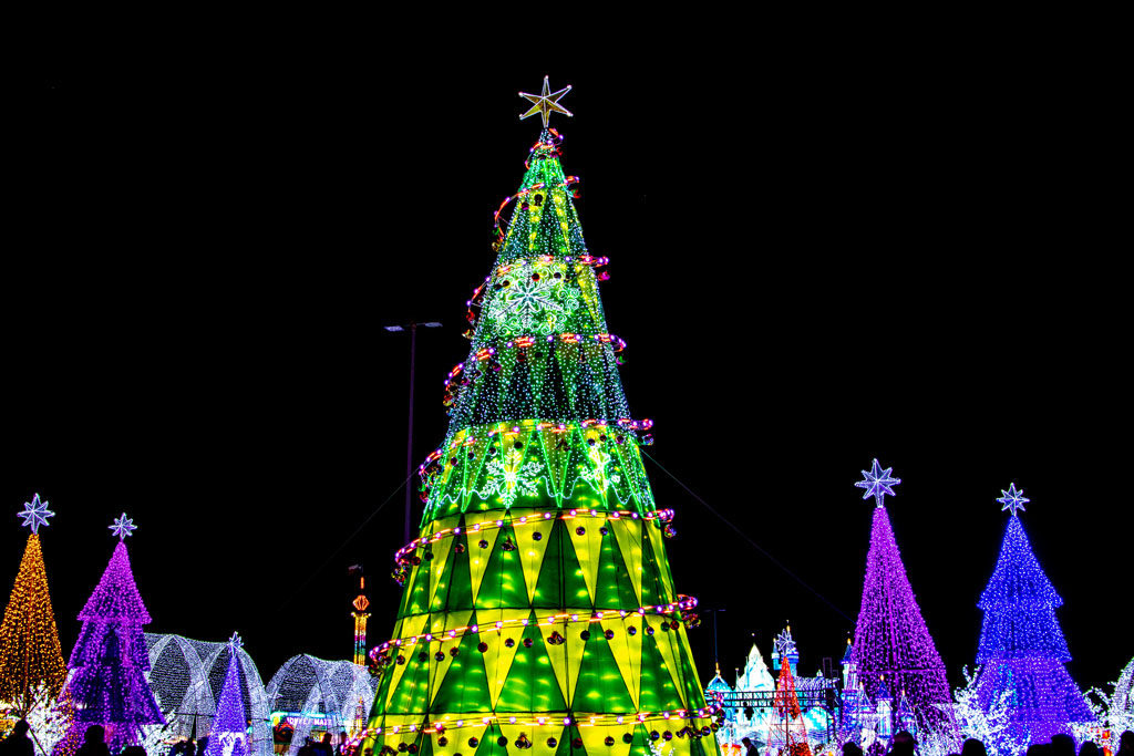 Assorted Christmas trees at Magic Winter Lights, La Marque, TX