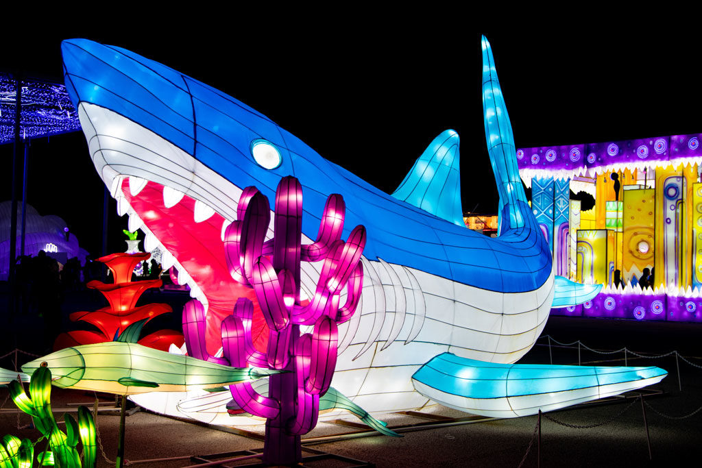 Lantern of a Great White Shark at Magic Winter Lights, La Marque, TX